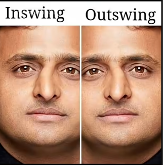 Cricket terminology expressed through a meme