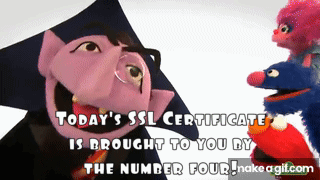 sesameStreetLayerCertificate