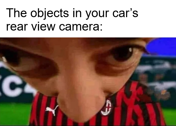 The objects in your car’s rear view camera be like: 🫪