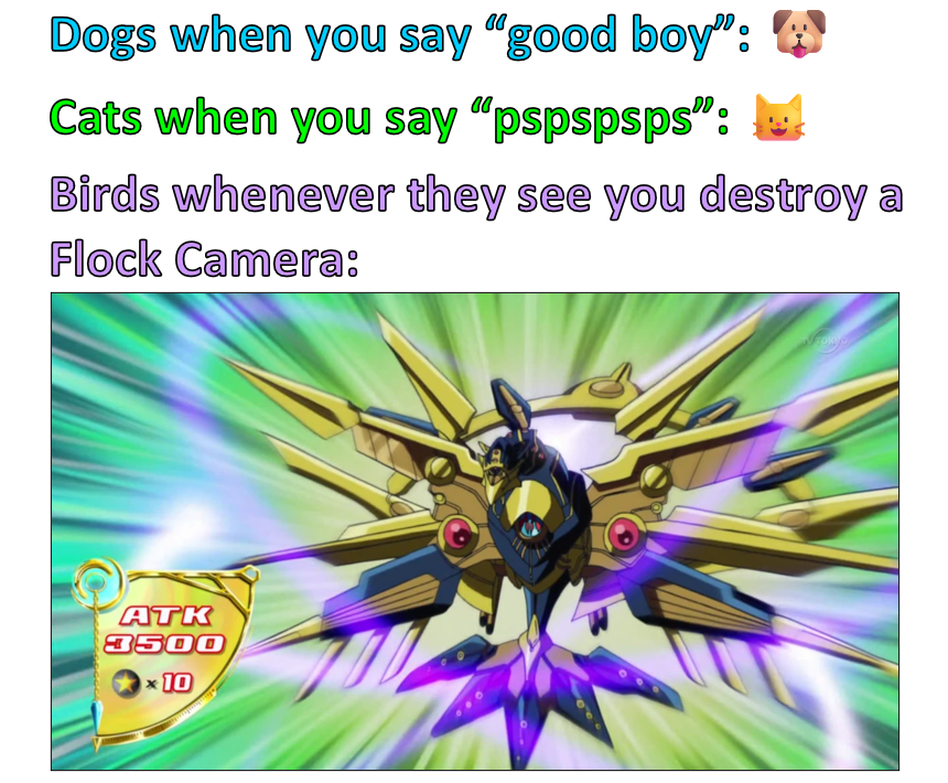 Is this a title, I mean, a relationship meme?