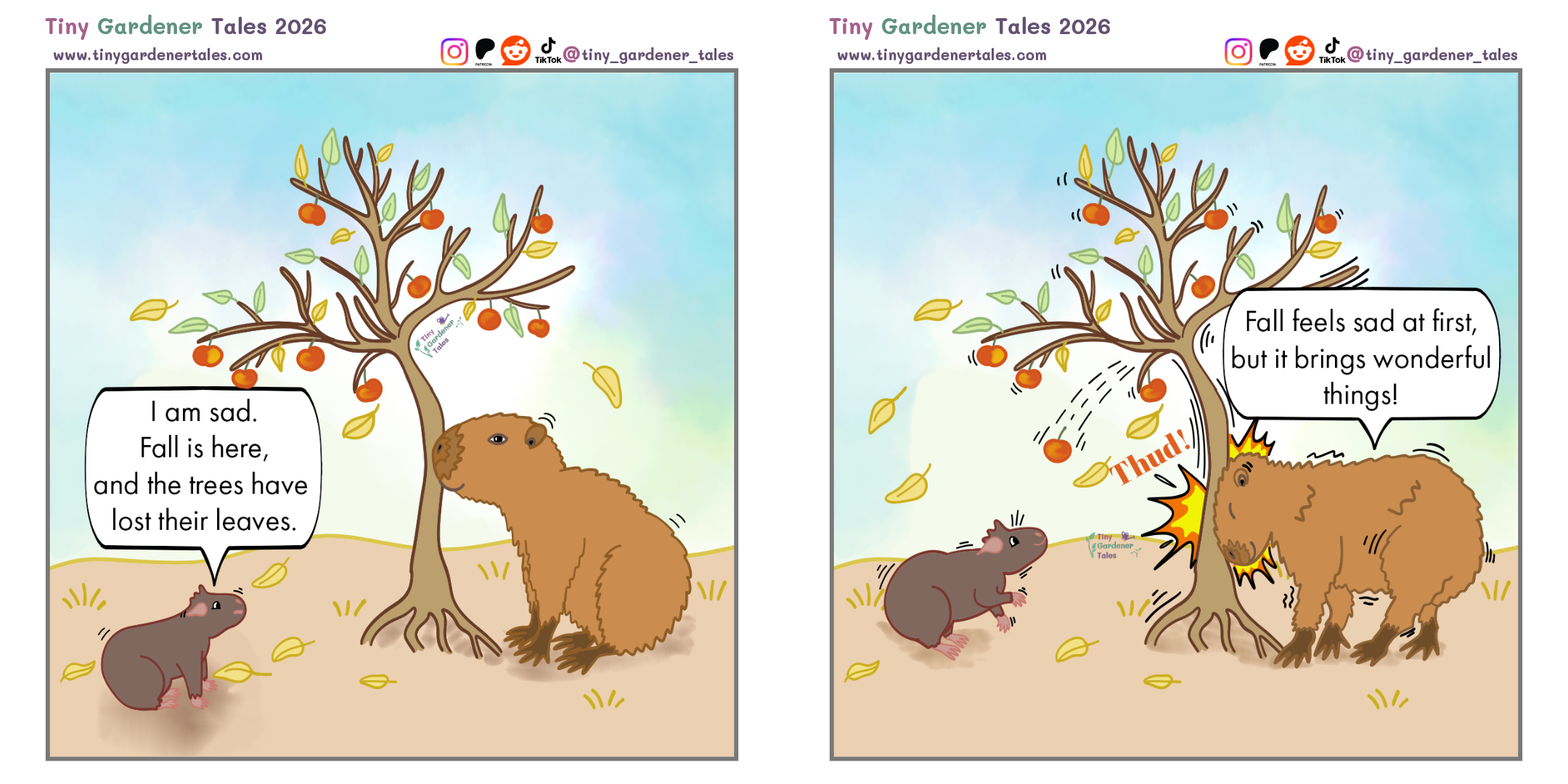 [OC] Find the sweetness in changing seasons