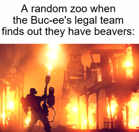At this point, they think only they own the rights to the world's second largest species of rodent